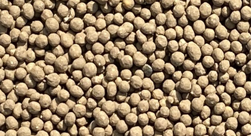 Բ����Բ��